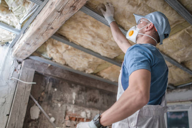 Best DIY Insulation Kits and Guidance in Bayonet Point, FL
