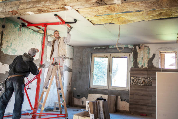 Best Cellulose Insulation in Bayonet Point, FL