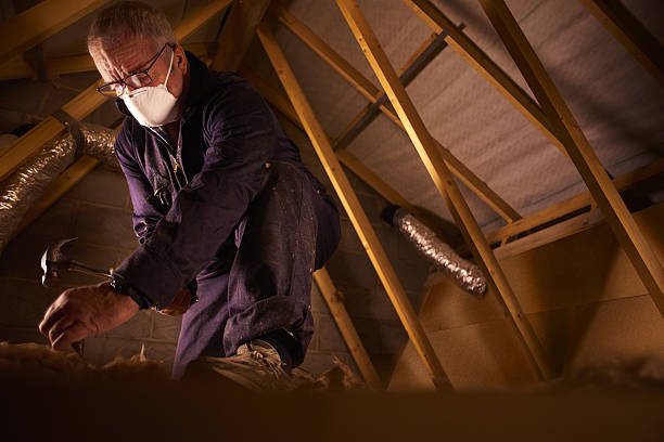 Best Spray Foam Insulation in Bayonet Point, FL